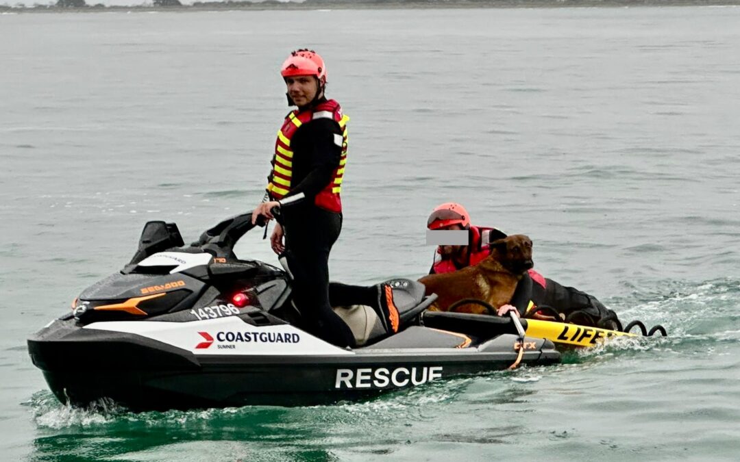 Dolphins, Dogs & Drama – Rescue Roundup