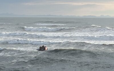 March: From Reef Rescues to Community Bowls